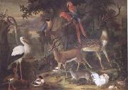 Jakob Bogdani Birds and deer in a Garden (mk25) china oil painting reproduction